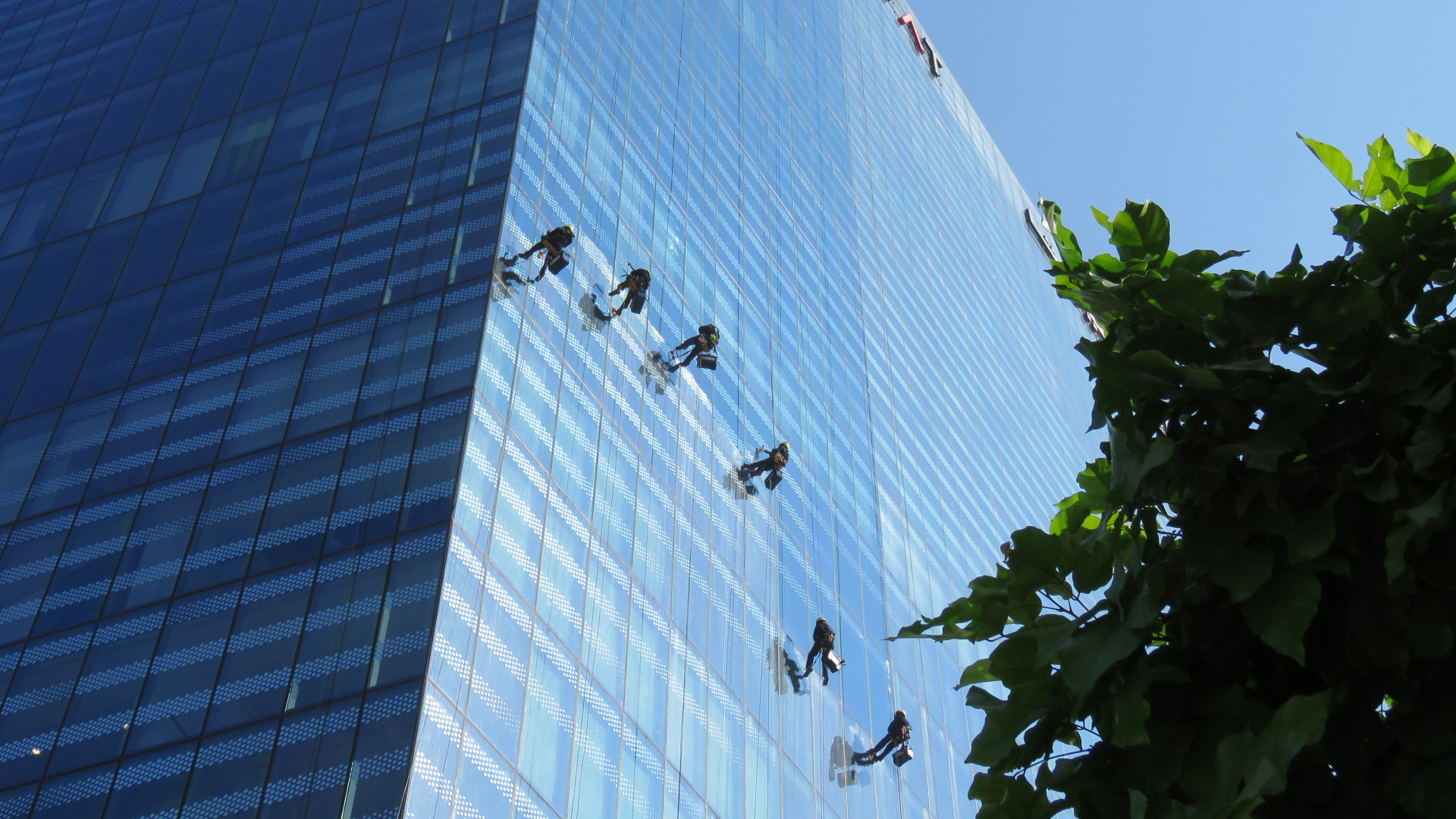 high level facade cleaning